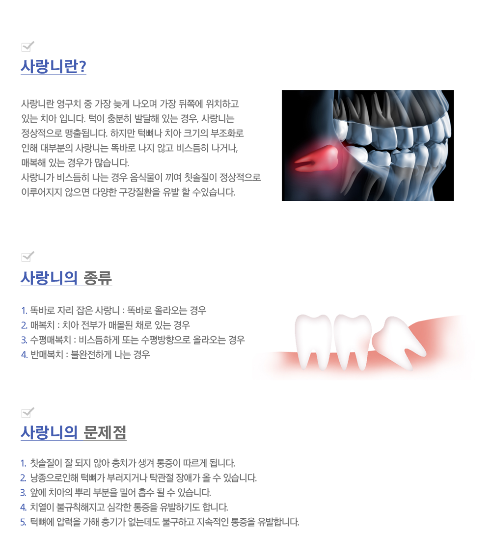 이미지명
